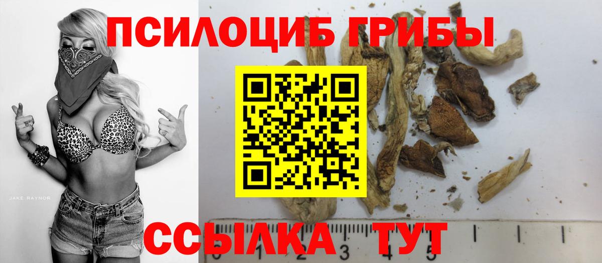 Реж  закладка  Вход с VPN  Галлюциногенные грибы мухоморы 