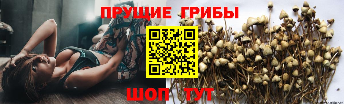 Галлюциногенные грибы GOLDEN TEACHER Реж